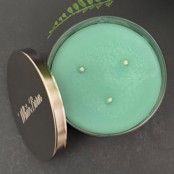 BBW Winter Pear Forest White Barn Bath & Body Works 3 Wick Candle - Picture 6 of 10